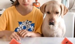 吃瓜视频每日大赛,每日热门视频盘点，揭秘娱乐圈幕后故事